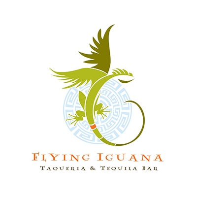 flying-iguana-for-beachside